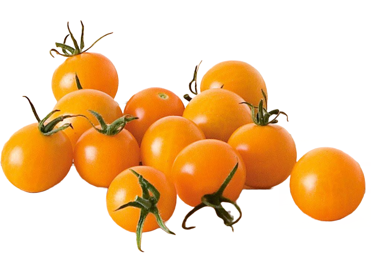sunsugar tomatoes